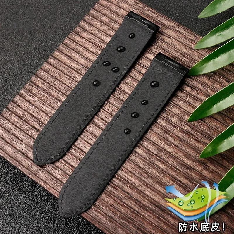 20mm 23mm Genuine Leather Watc - Cartier Watch Santos 评论和价格